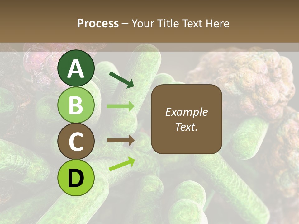 A Group Of Green And Pink Algaes Powerpoint Template PowerPoint Template