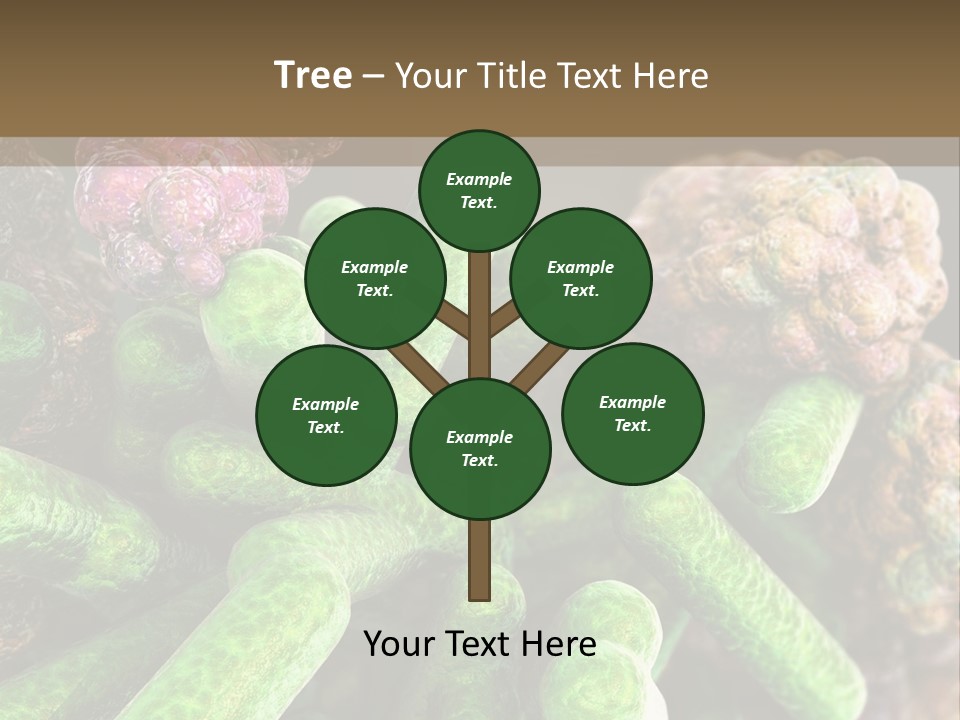 A Group Of Green And Pink Algaes Powerpoint Template PowerPoint Template