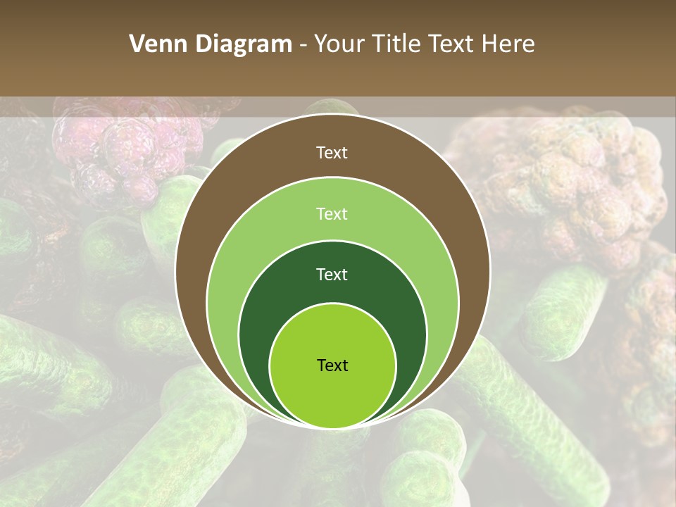 A Group Of Green And Pink Algaes Powerpoint Template PowerPoint Template