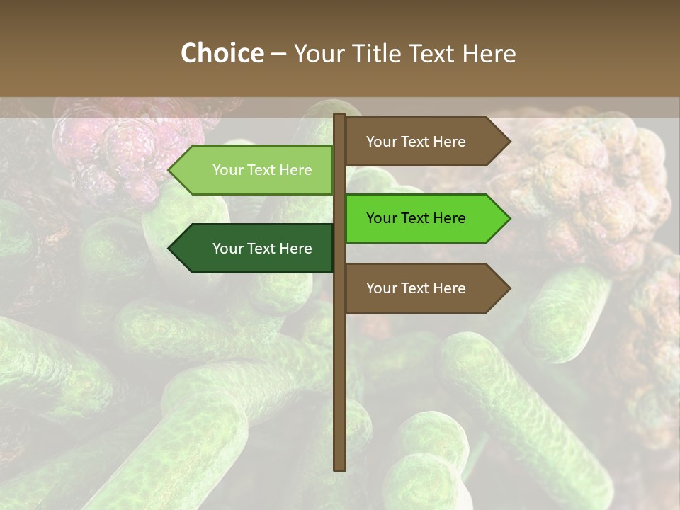 A Group Of Green And Pink Algaes Powerpoint Template PowerPoint Template