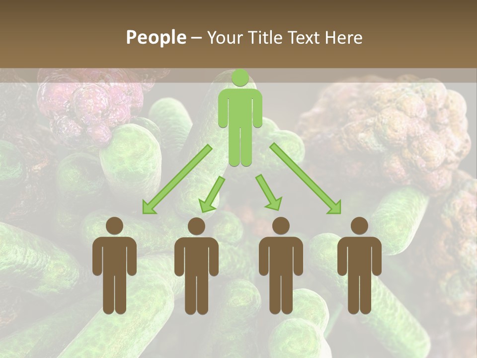 A Group Of Green And Pink Algaes Powerpoint Template PowerPoint Template