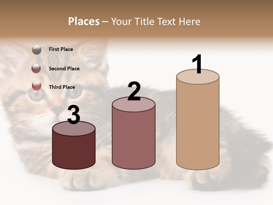 A Small Kitten Laying Down On A White Surface PowerPoint Template