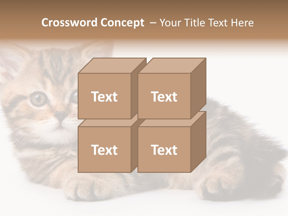 A Small Kitten Laying Down On A White Surface PowerPoint Template