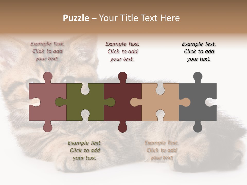 A Small Kitten Laying Down On A White Surface PowerPoint Template