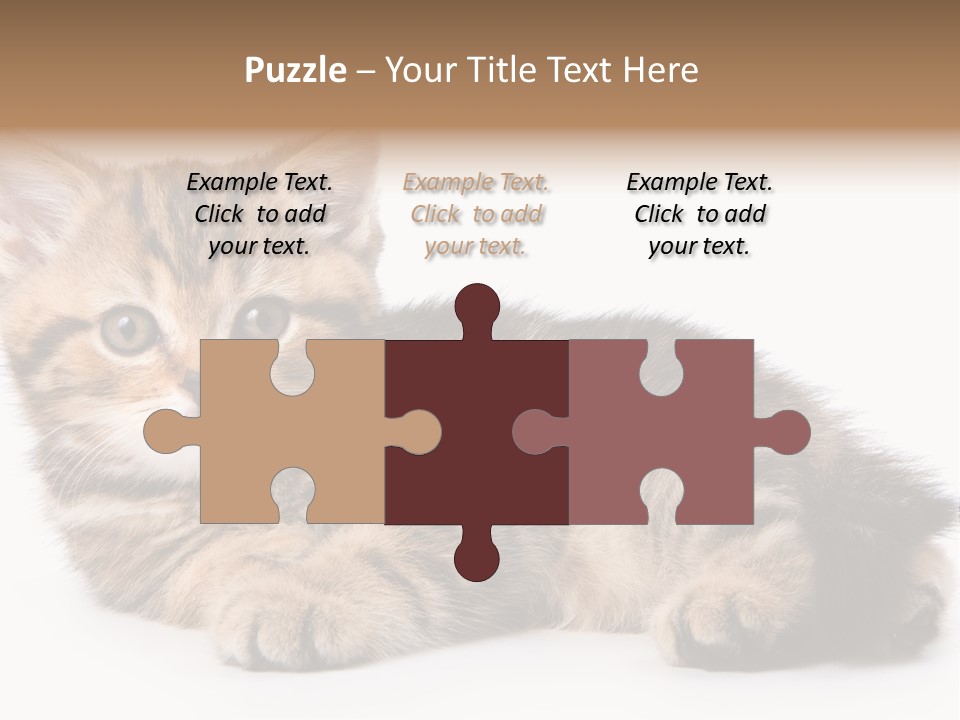 A Small Kitten Laying Down On A White Surface PowerPoint Template