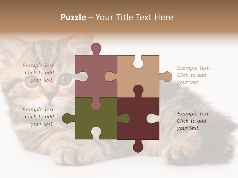 A Small Kitten Laying Down On A White Surface PowerPoint Template