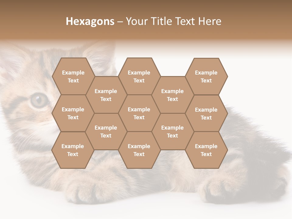 A Small Kitten Laying Down On A White Surface PowerPoint Template