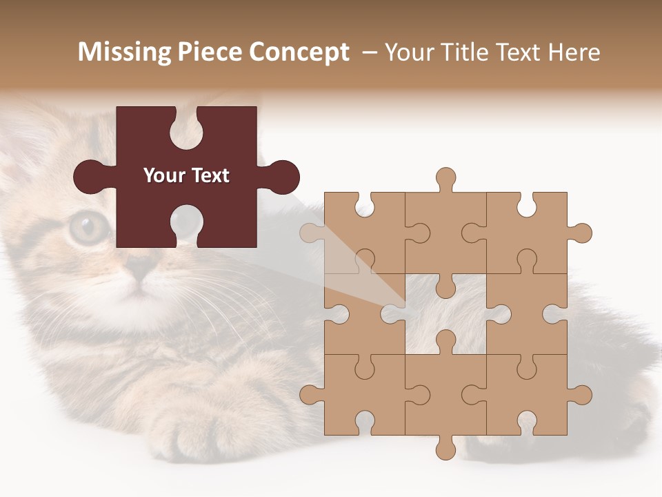 A Small Kitten Laying Down On A White Surface PowerPoint Template
