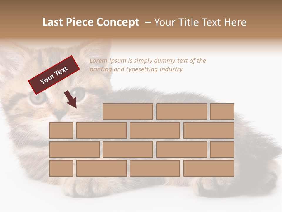 A Small Kitten Laying Down On A White Surface PowerPoint Template