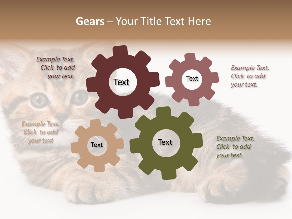 A Small Kitten Laying Down On A White Surface PowerPoint Template