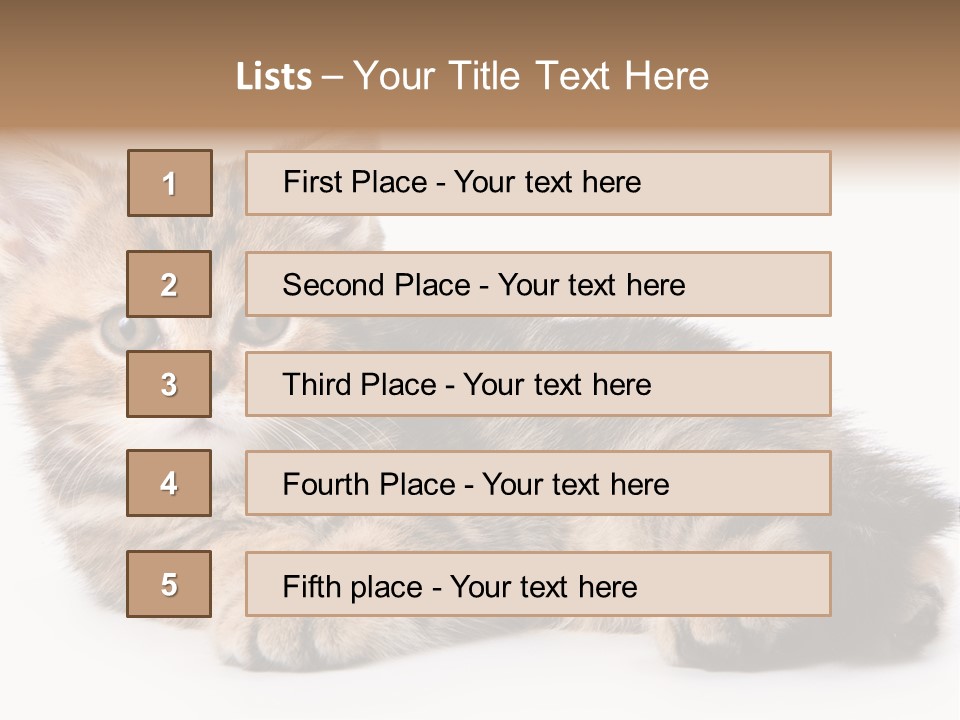 A Small Kitten Laying Down On A White Surface PowerPoint Template