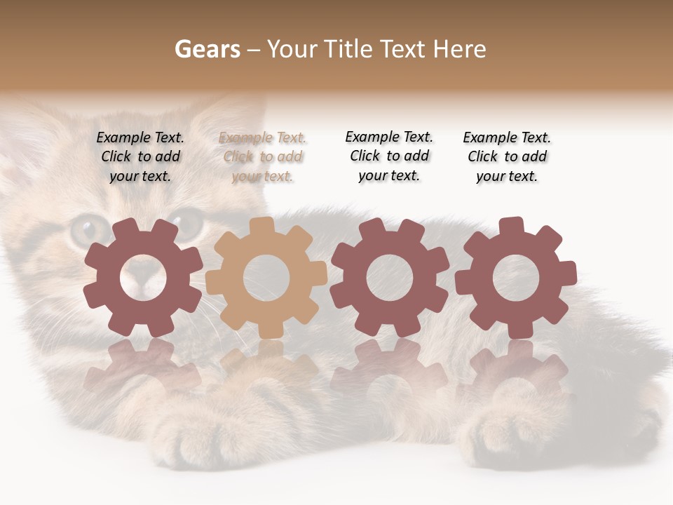 A Small Kitten Laying Down On A White Surface PowerPoint Template