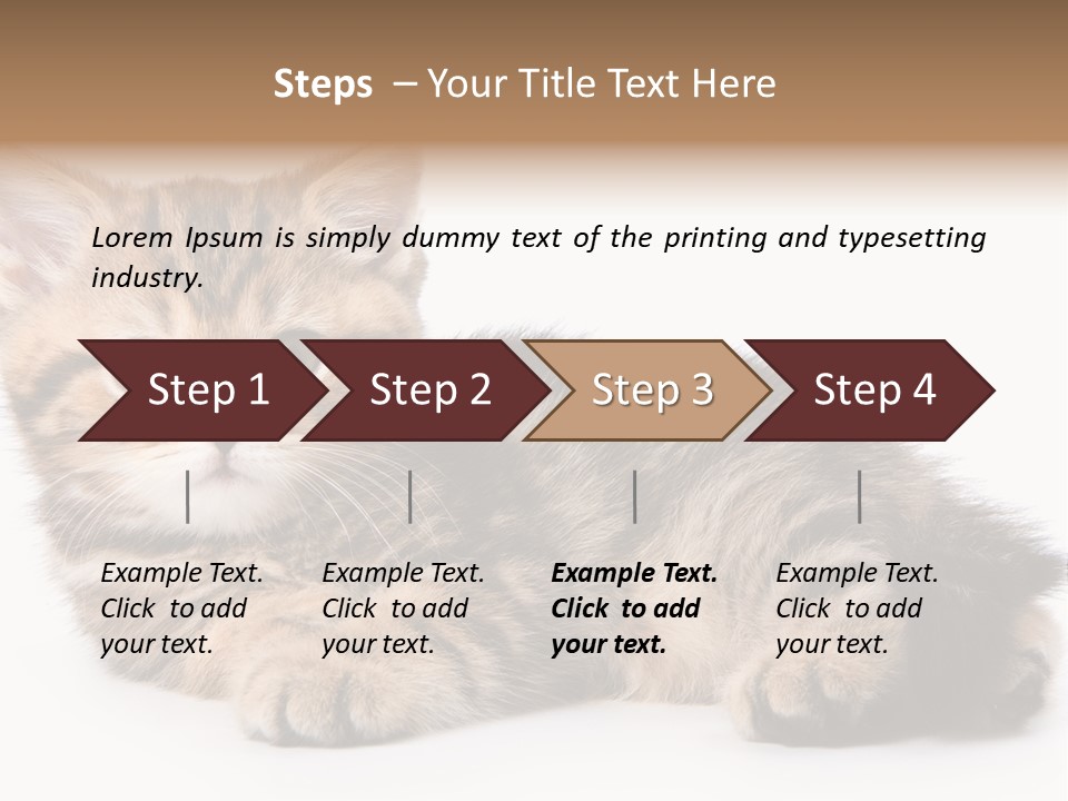 A Small Kitten Laying Down On A White Surface PowerPoint Template