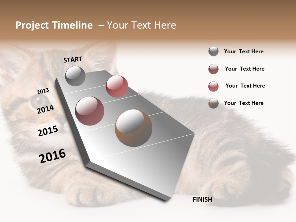 A Small Kitten Laying Down On A White Surface PowerPoint Template