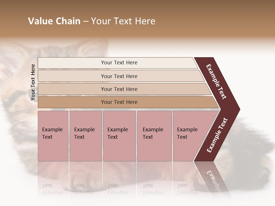 A Small Kitten Laying Down On A White Surface PowerPoint Template