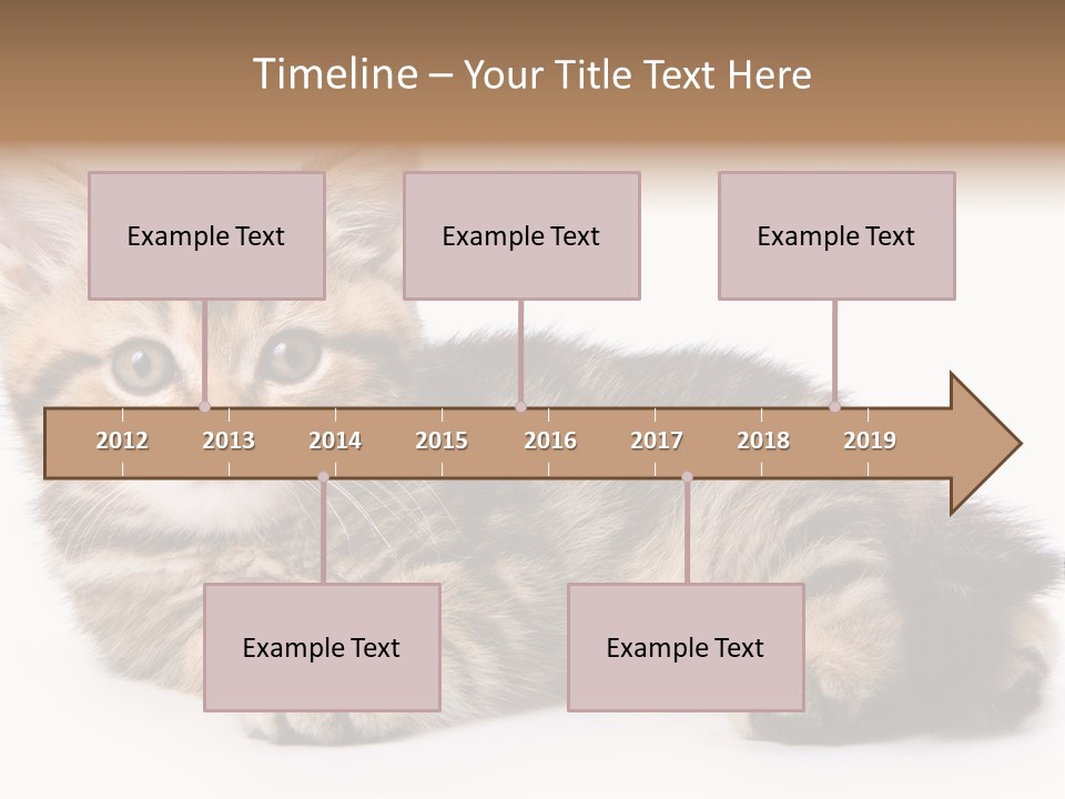 A Small Kitten Laying Down On A White Surface PowerPoint Template