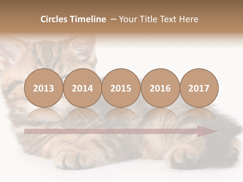 A Small Kitten Laying Down On A White Surface PowerPoint Template
