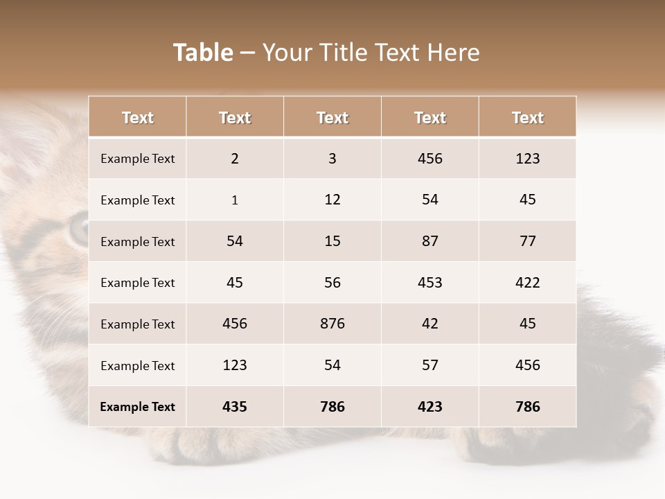 A Small Kitten Laying Down On A White Surface PowerPoint Template