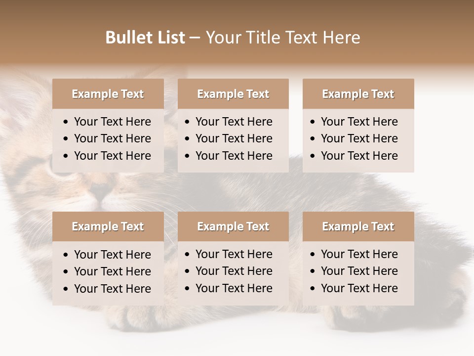 A Small Kitten Laying Down On A White Surface PowerPoint Template