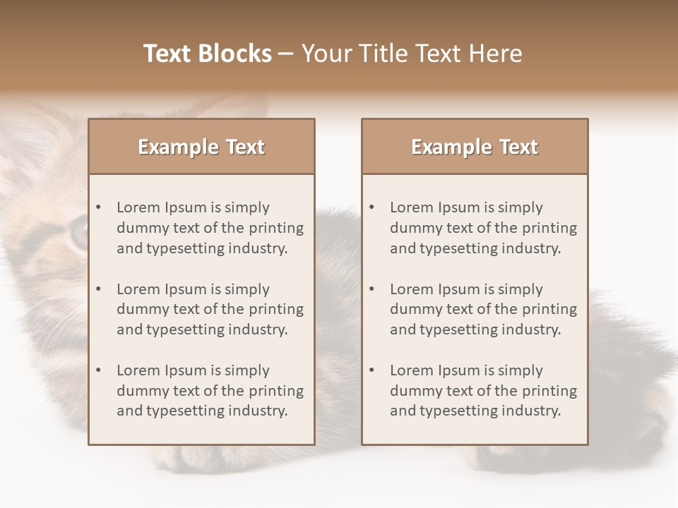 A Small Kitten Laying Down On A White Surface PowerPoint Template