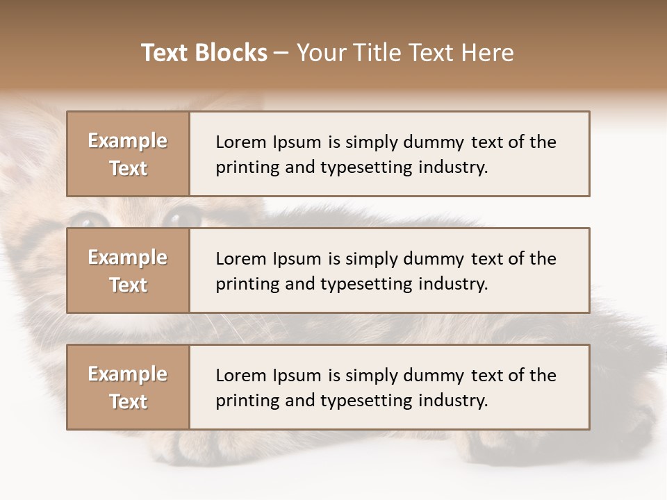 A Small Kitten Laying Down On A White Surface PowerPoint Template