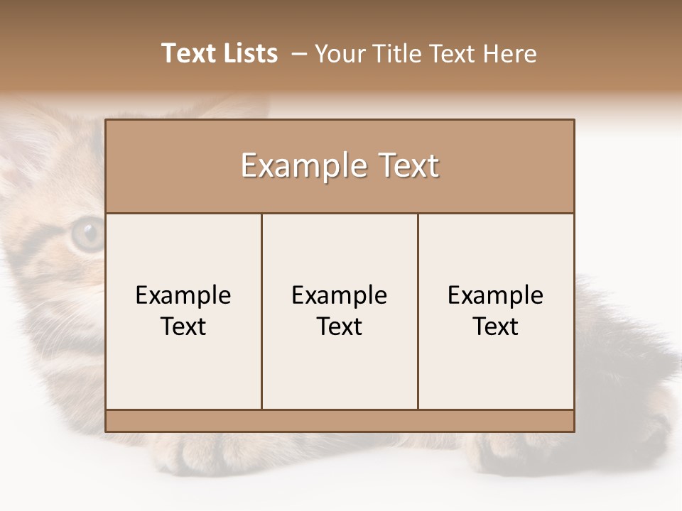 A Small Kitten Laying Down On A White Surface PowerPoint Template