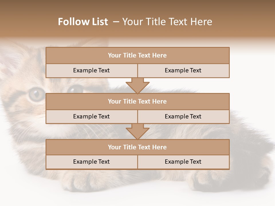 A Small Kitten Laying Down On A White Surface PowerPoint Template
