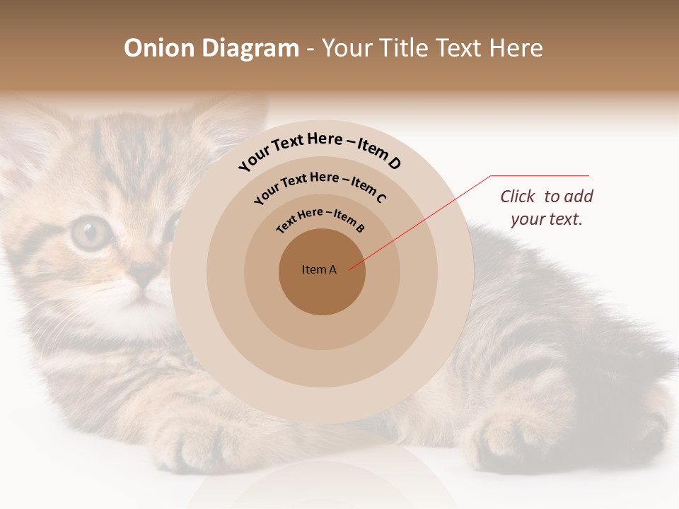 A Small Kitten Laying Down On A White Surface PowerPoint Template