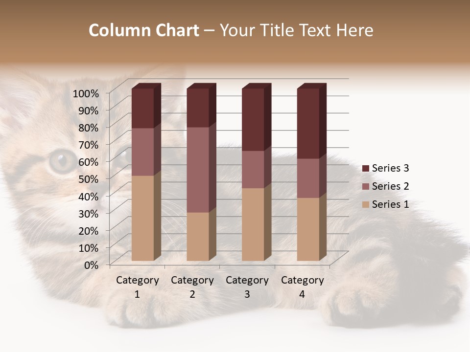A Small Kitten Laying Down On A White Surface PowerPoint Template