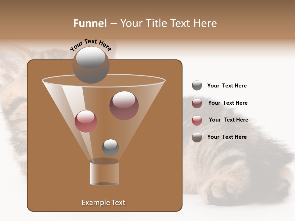 A Small Kitten Laying Down On A White Surface PowerPoint Template