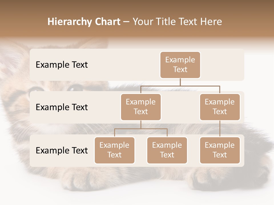 A Small Kitten Laying Down On A White Surface PowerPoint Template