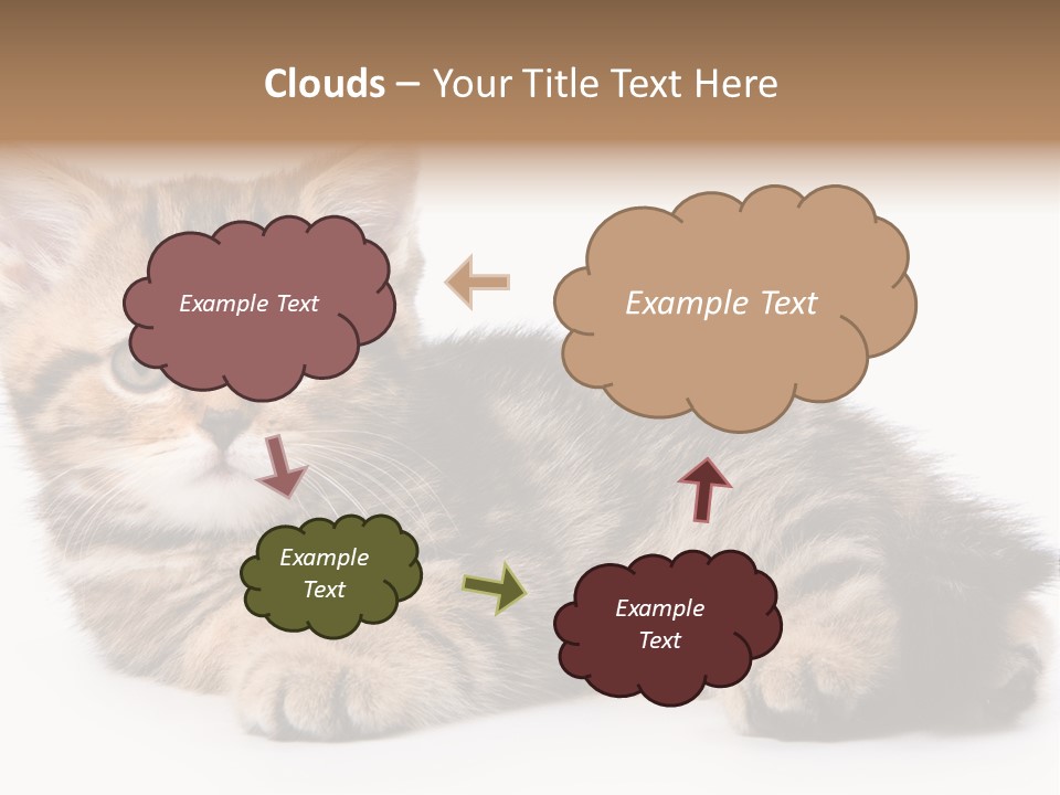 A Small Kitten Laying Down On A White Surface PowerPoint Template