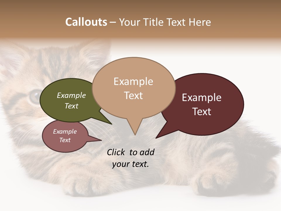 A Small Kitten Laying Down On A White Surface PowerPoint Template