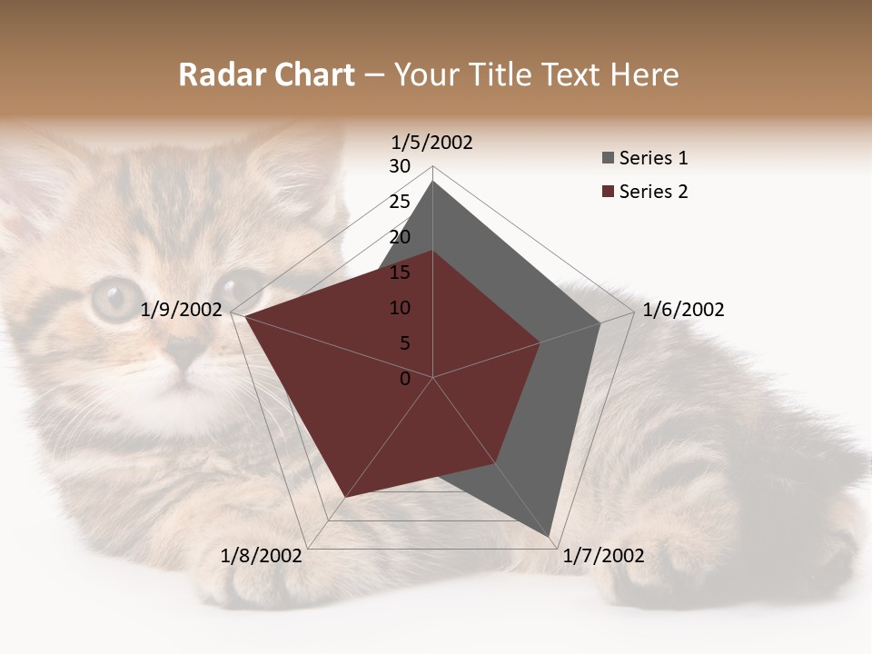A Small Kitten Laying Down On A White Surface PowerPoint Template