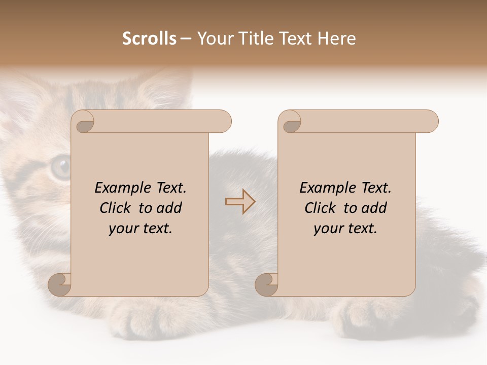 A Small Kitten Laying Down On A White Surface PowerPoint Template