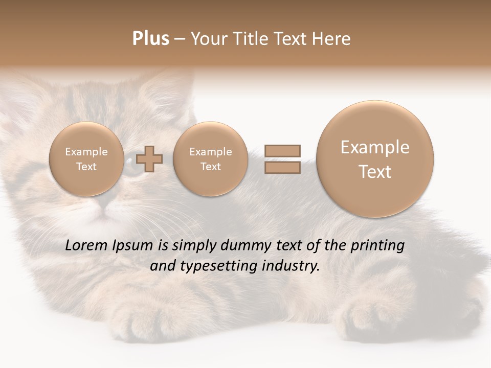 A Small Kitten Laying Down On A White Surface PowerPoint Template