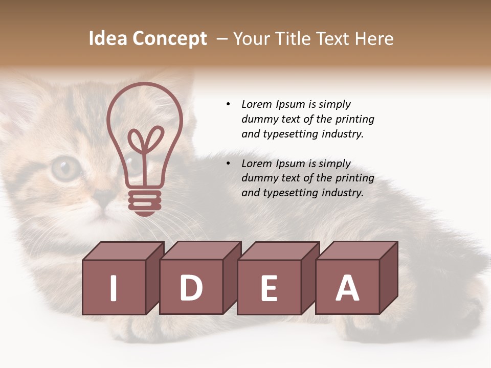 A Small Kitten Laying Down On A White Surface PowerPoint Template