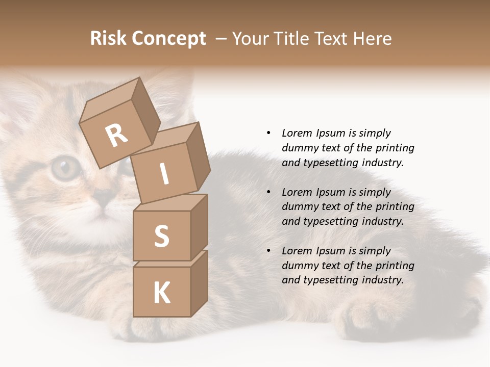 A Small Kitten Laying Down On A White Surface PowerPoint Template