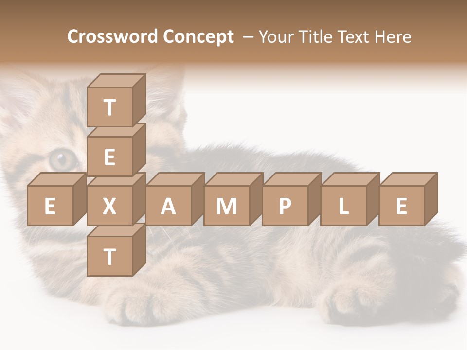 A Small Kitten Laying Down On A White Surface PowerPoint Template