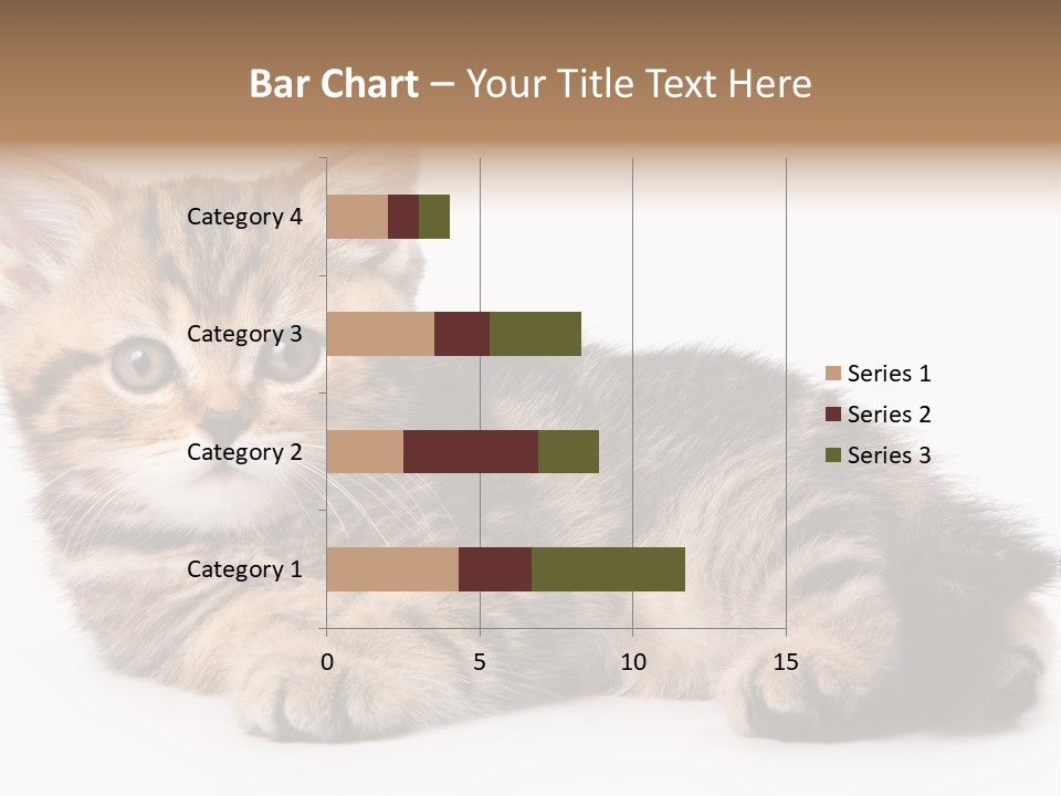 A Small Kitten Laying Down On A White Surface PowerPoint Template