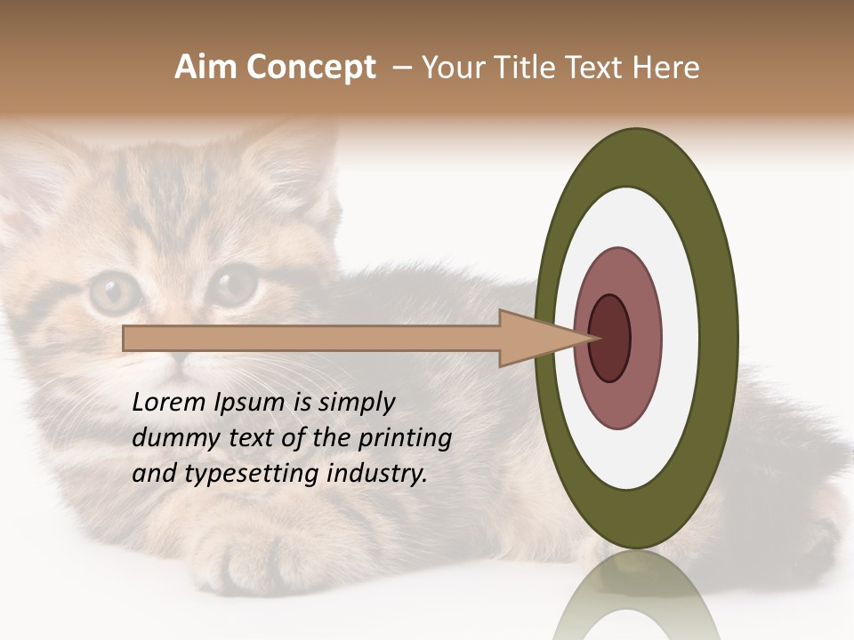 A Small Kitten Laying Down On A White Surface PowerPoint Template
