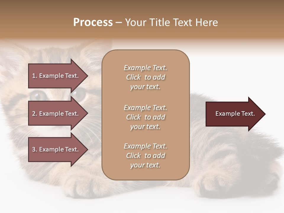 A Small Kitten Laying Down On A White Surface PowerPoint Template