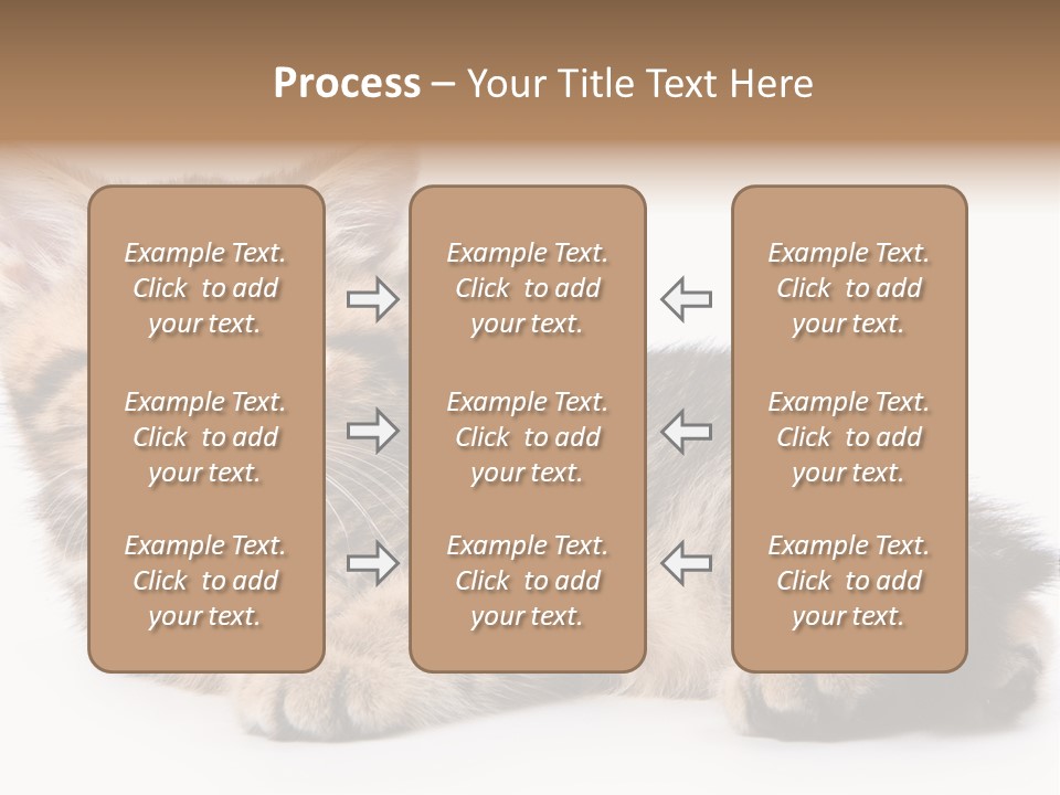 A Small Kitten Laying Down On A White Surface PowerPoint Template