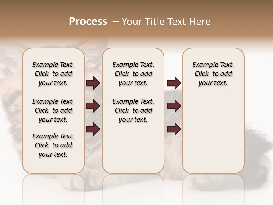 A Small Kitten Laying Down On A White Surface PowerPoint Template