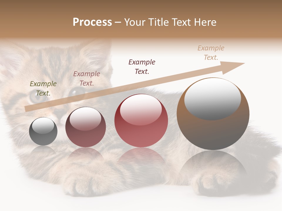 A Small Kitten Laying Down On A White Surface PowerPoint Template