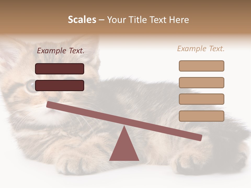 A Small Kitten Laying Down On A White Surface PowerPoint Template