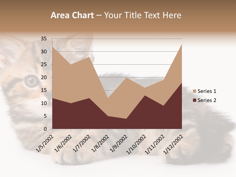 A Small Kitten Laying Down On A White Surface PowerPoint Template