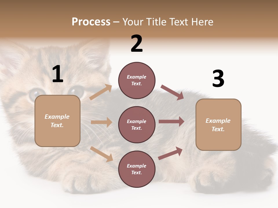 A Small Kitten Laying Down On A White Surface PowerPoint Template