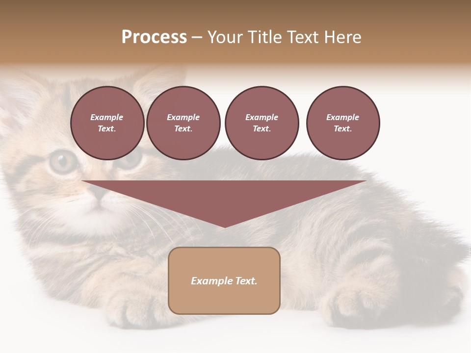 A Small Kitten Laying Down On A White Surface PowerPoint Template