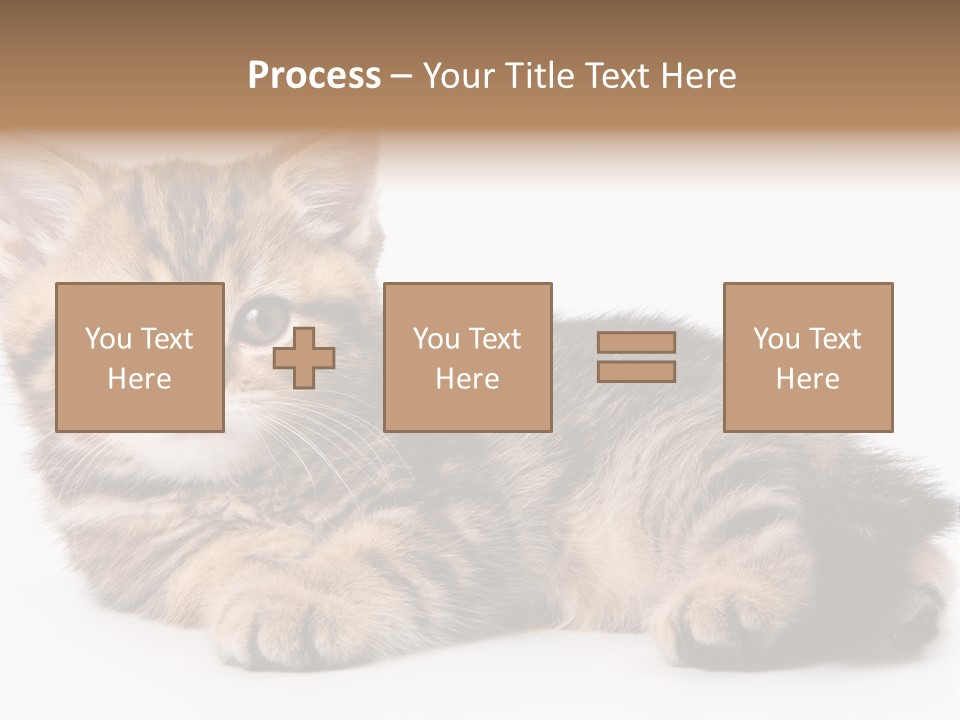 A Small Kitten Laying Down On A White Surface PowerPoint Template